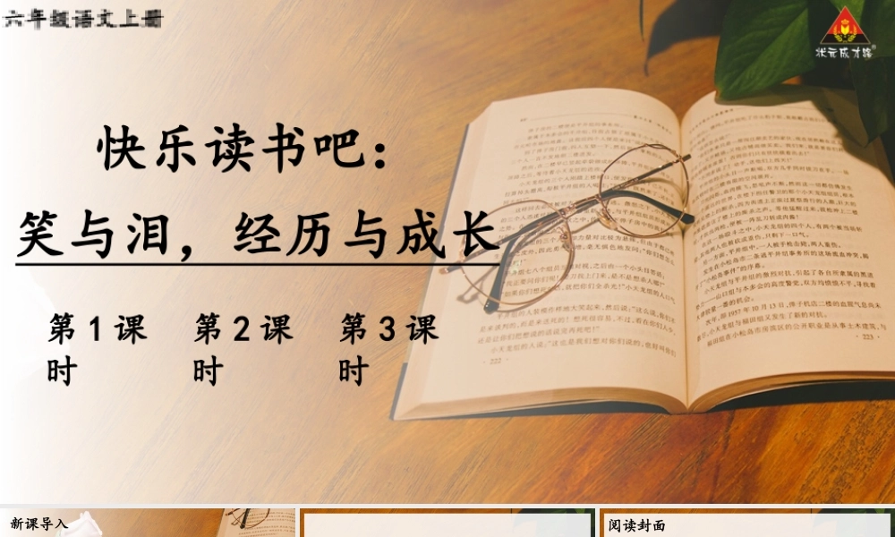 （24人教统编版）小学六年级语文上册第四单元快乐读书吧：笑与泪，经历与成长课件