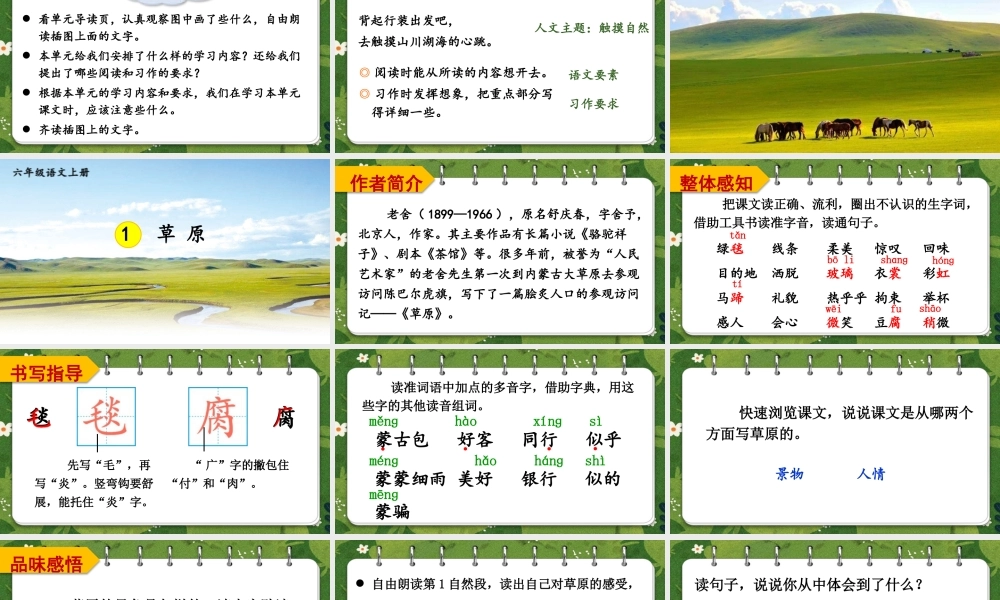 （24人教统编版）小学六年级语文上册第一单元1 草原课件