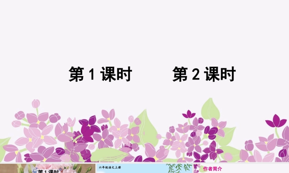 （24人教统编版）小学六年级语文上册第一单元2 丁香结课件
