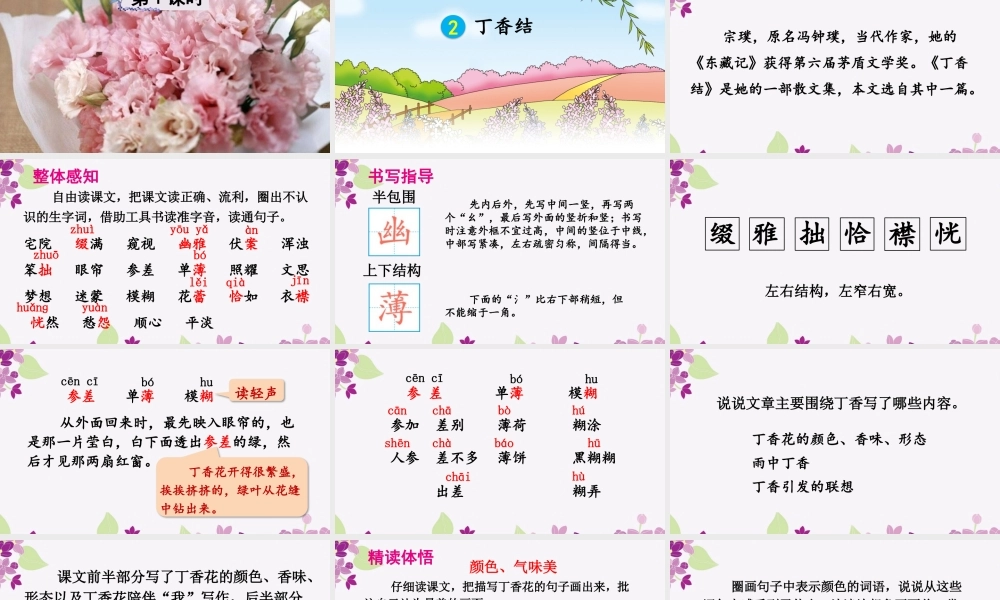 （24人教统编版）小学六年级语文上册第一单元2 丁香结课件