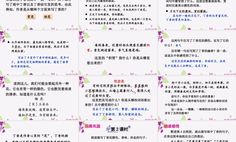 （24人教统编版）小学六年级语文上册第一单元2 丁香结课件