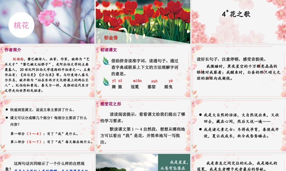 （24人教统编版）小学六年级语文上册第一单元4 花之歌课件