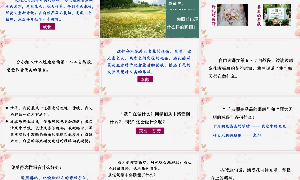 （24人教统编版）小学六年级语文上册第一单元4 花之歌课件