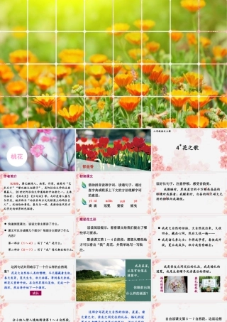 （24人教统编版）小学六年级语文上册第一单元4 花之歌课件