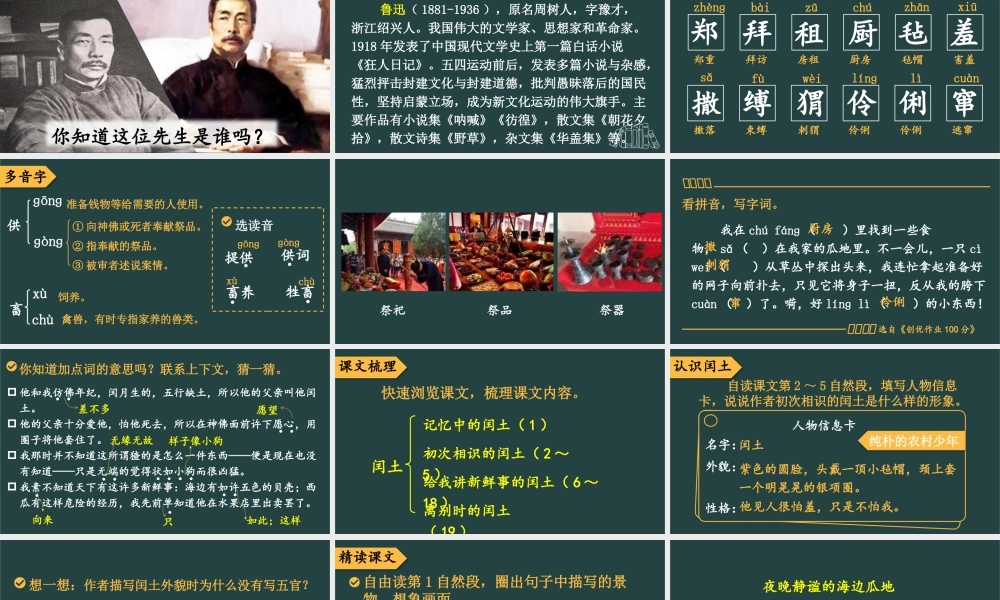 25秋人教统编版小学语文六年级上册第八单元25 少年闰土课件