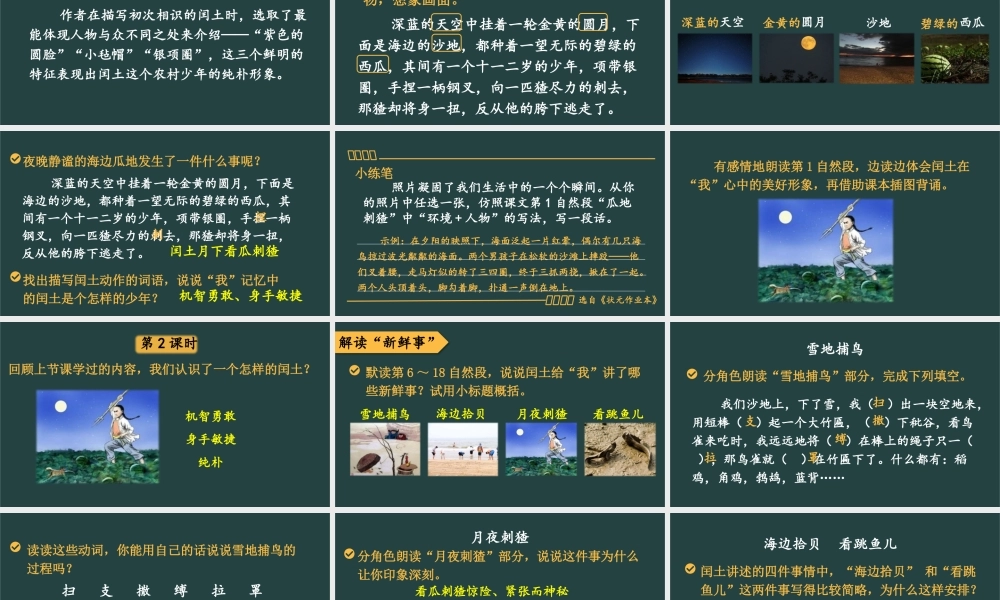 25秋人教统编版小学语文六年级上册第八单元25 少年闰土课件