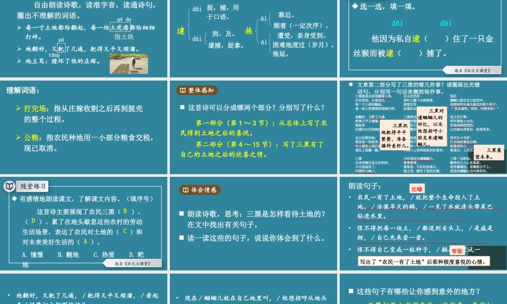 25秋人教统编版小学语文六年级上册第六单元21 三黑和土地课件