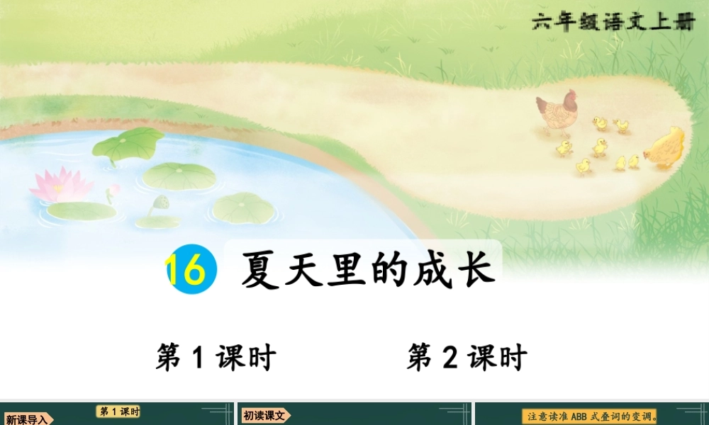 25秋人教统编版小学语文六年级上册第五单元16 夏天里的成长课件
