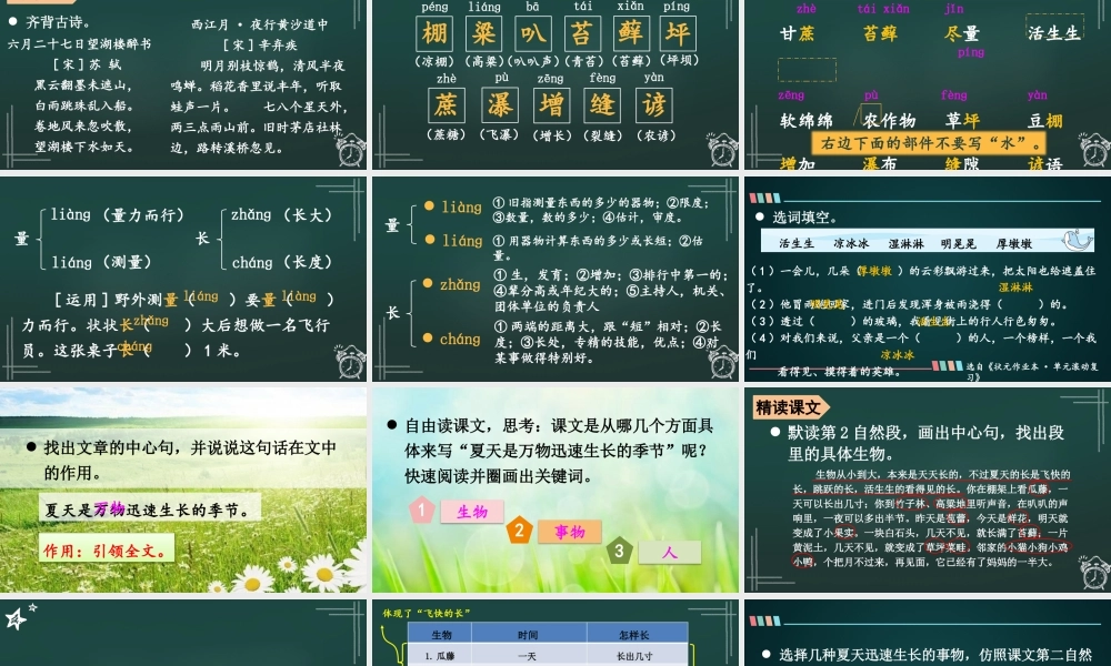 25秋人教统编版小学语文六年级上册第五单元16 夏天里的成长课件