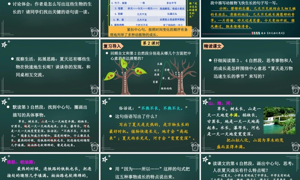 25秋人教统编版小学语文六年级上册第五单元16 夏天里的成长课件