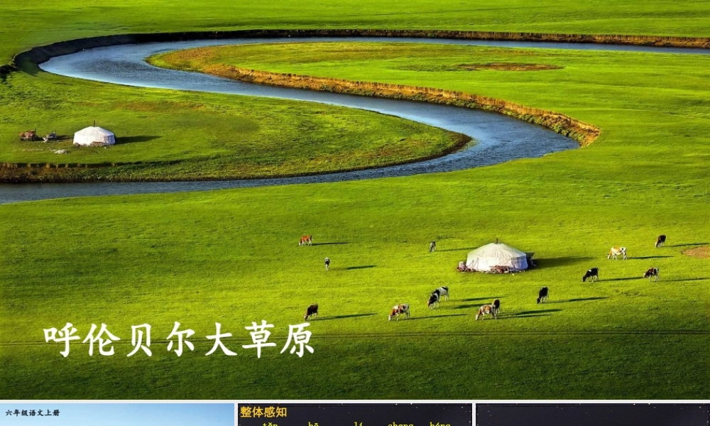 25秋人教统编版小学语文六年级上册第一单元1 草原课件