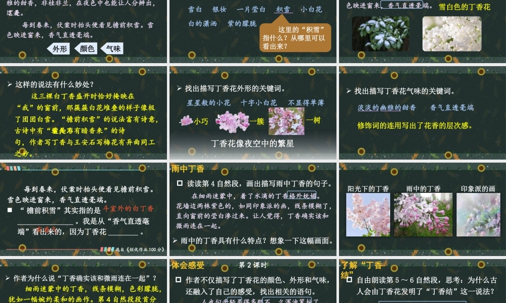 25秋人教统编版小学语文六年级上册第一单元2 丁香结课件