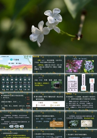 25秋人教统编版小学语文六年级上册第一单元2 丁香结课件