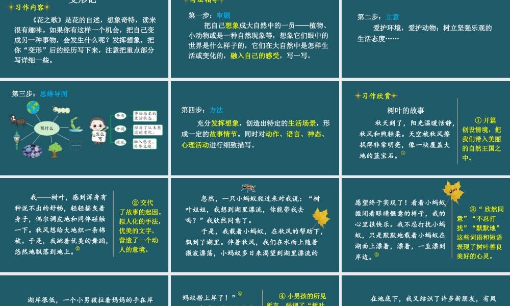 25秋人教统编版小学语文六年级上册第一单元习作：变形记课件