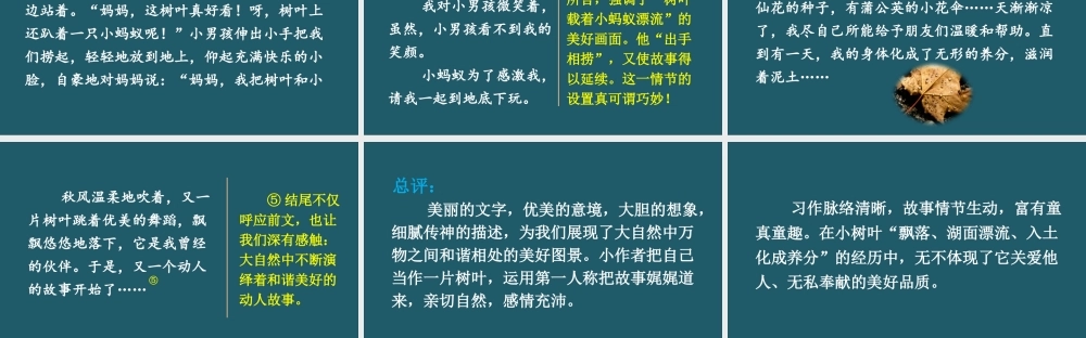 25秋人教统编版小学语文六年级上册第一单元习作：变形记课件