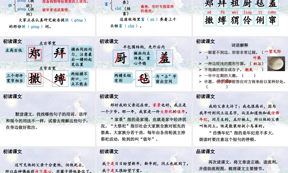 25秋人教统编版-小学语文六年级上册第八单元25 少年闰土 课件