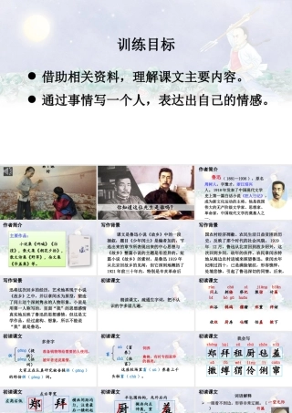 25秋人教统编版-小学语文六年级上册第八单元25 少年闰土 课件