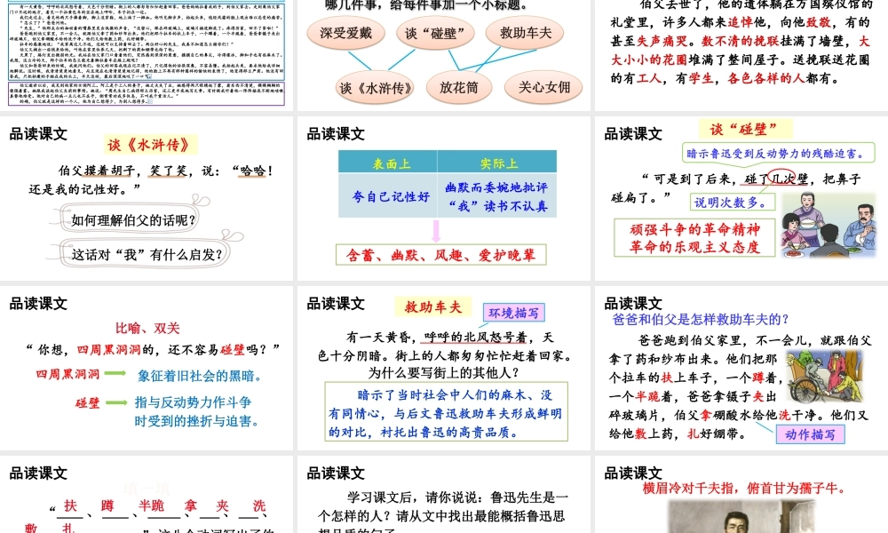 25秋人教统编版-小学语文六年级上册第八单元27 我的伯父鲁迅先生 课件