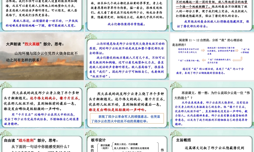 25秋人教统编版-小学语文六年级上册第二单元9 我的战友邱少云 课件