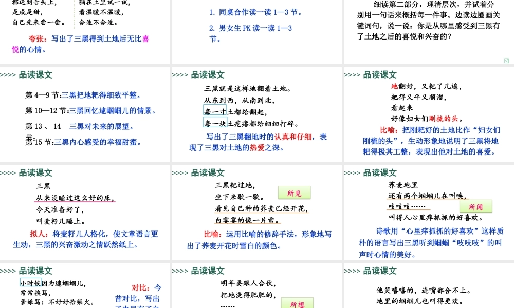 25秋人教统编版-小学语文六年级上册第六单元21 三黑和土地 课件