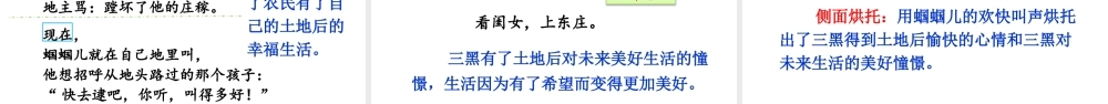 25秋人教统编版-小学语文六年级上册第六单元21 三黑和土地 课件