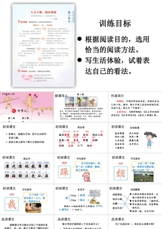 25秋人教统编版-小学语文六年级上册第三单元10 竹节人 课件