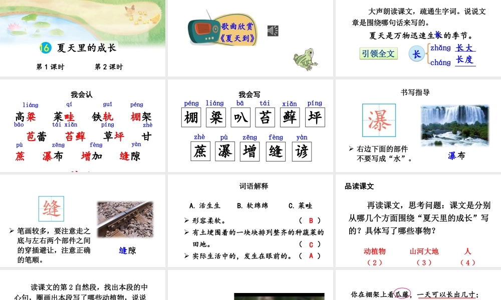 25秋人教统编版-小学语文六年级上册第五单元16 夏天里的成长 课件