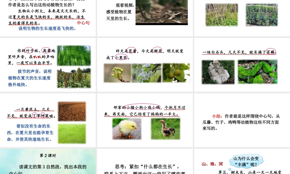 25秋人教统编版-小学语文六年级上册第五单元16 夏天里的成长 课件