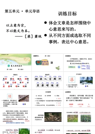 25秋人教统编版-小学语文六年级上册第五单元16 夏天里的成长 课件