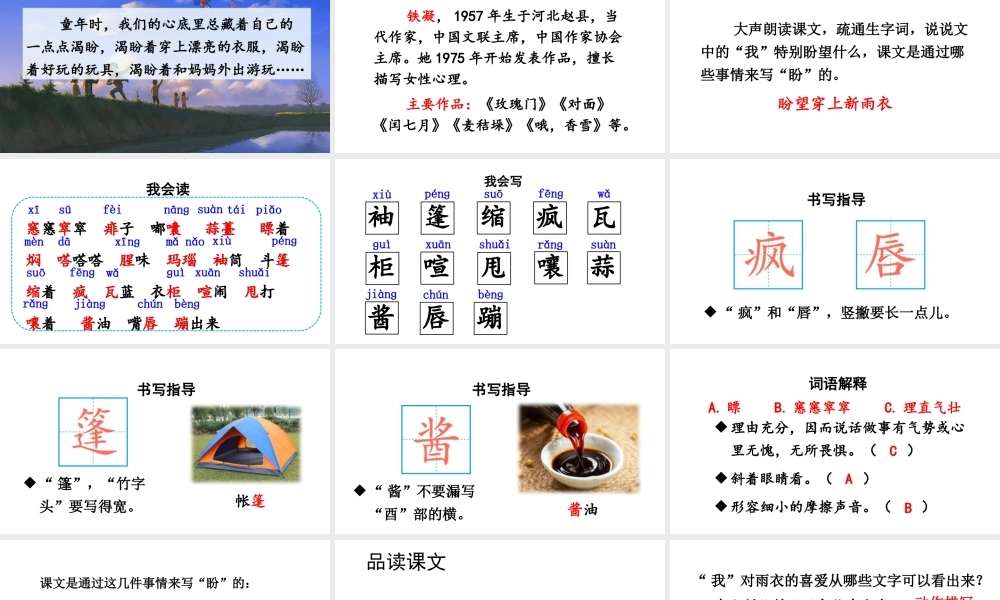 25秋人教统编版-小学语文六年级上册第五单元17 盼 课件