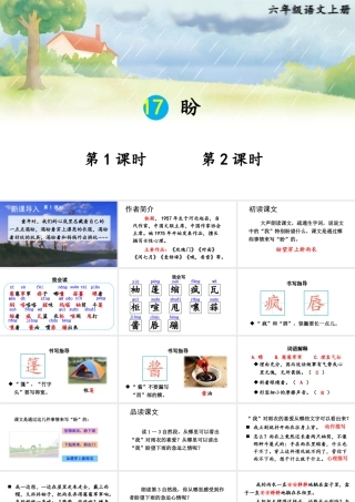 25秋人教统编版-小学语文六年级上册第五单元17 盼 课件