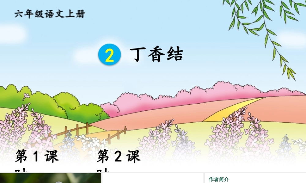 25秋人教统编版-小学语文六年级上册第一单元2 丁香结 课件