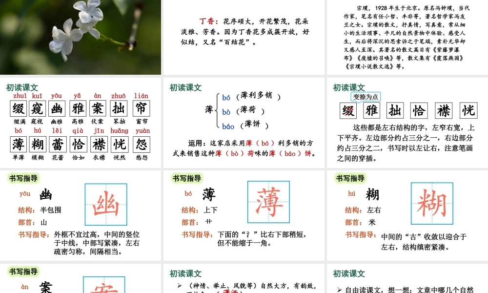 25秋人教统编版-小学语文六年级上册第一单元2 丁香结 课件