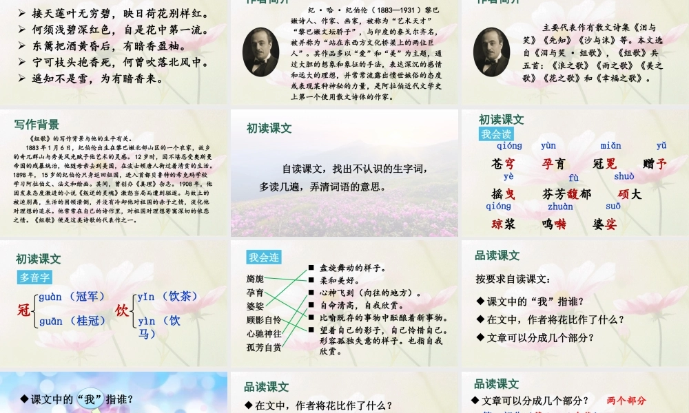 25秋人教统编版-小学语文六年级上册第一单元4 花之歌 课件