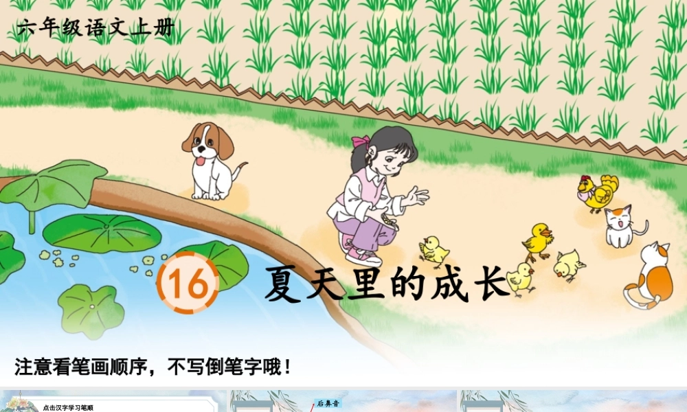 25秋人教统编版-小学语文六年级上册16 夏天里的成长生字笔顺教习课件（配音自动播放）
