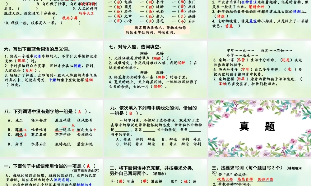 24人教统编版-小学六年级上册期末全册专项复习2：词语课件