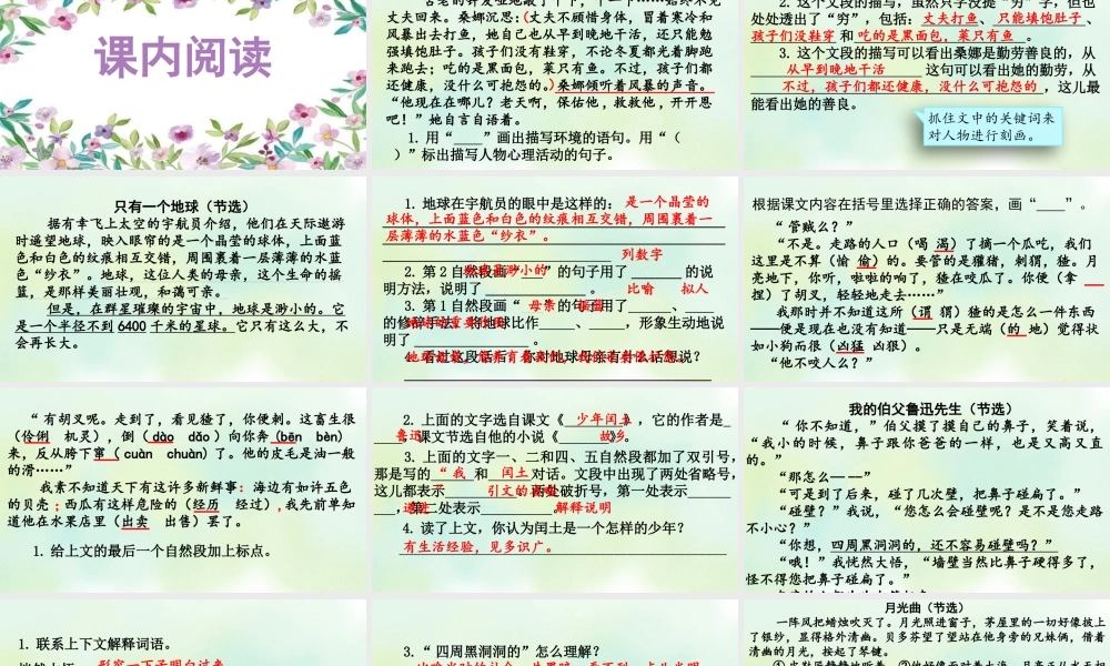 24人教统编版-小学六年级上册期末全册专项复习7：阅读指导课件