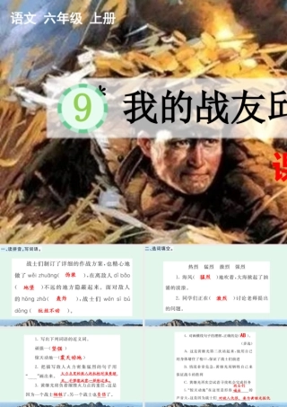 24人教统编版-小学六年级上册第二单元9 我的战友邱少云 课课练