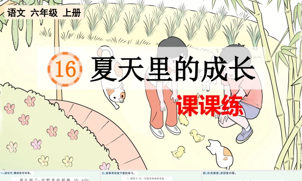 24人教统编版-小学六年级上册第五单元16 夏天里的成长 课课练