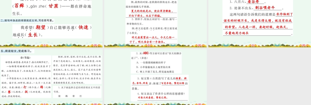 24人教统编版-小学六年级上册第五单元16 夏天里的成长 课课练