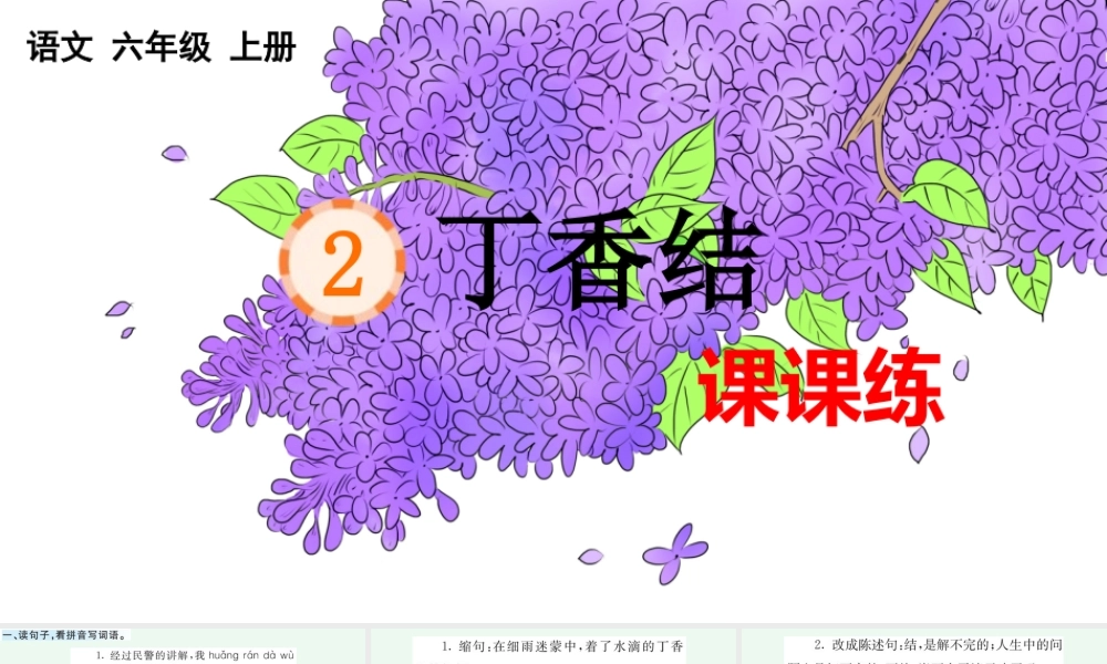 24人教统编版-小学六年级上册第一单元2 丁香结 课课练