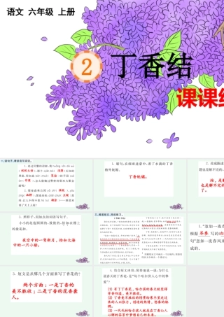 24人教统编版-小学六年级上册第一单元2 丁香结 课课练