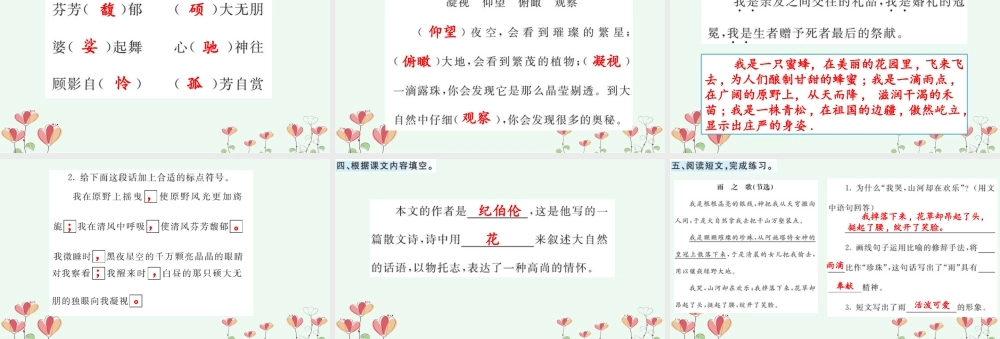 24人教统编版-小学六年级上册第一单元4 花之歌 课课练