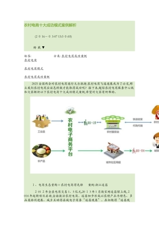 农村电商十大成功模式案例解析