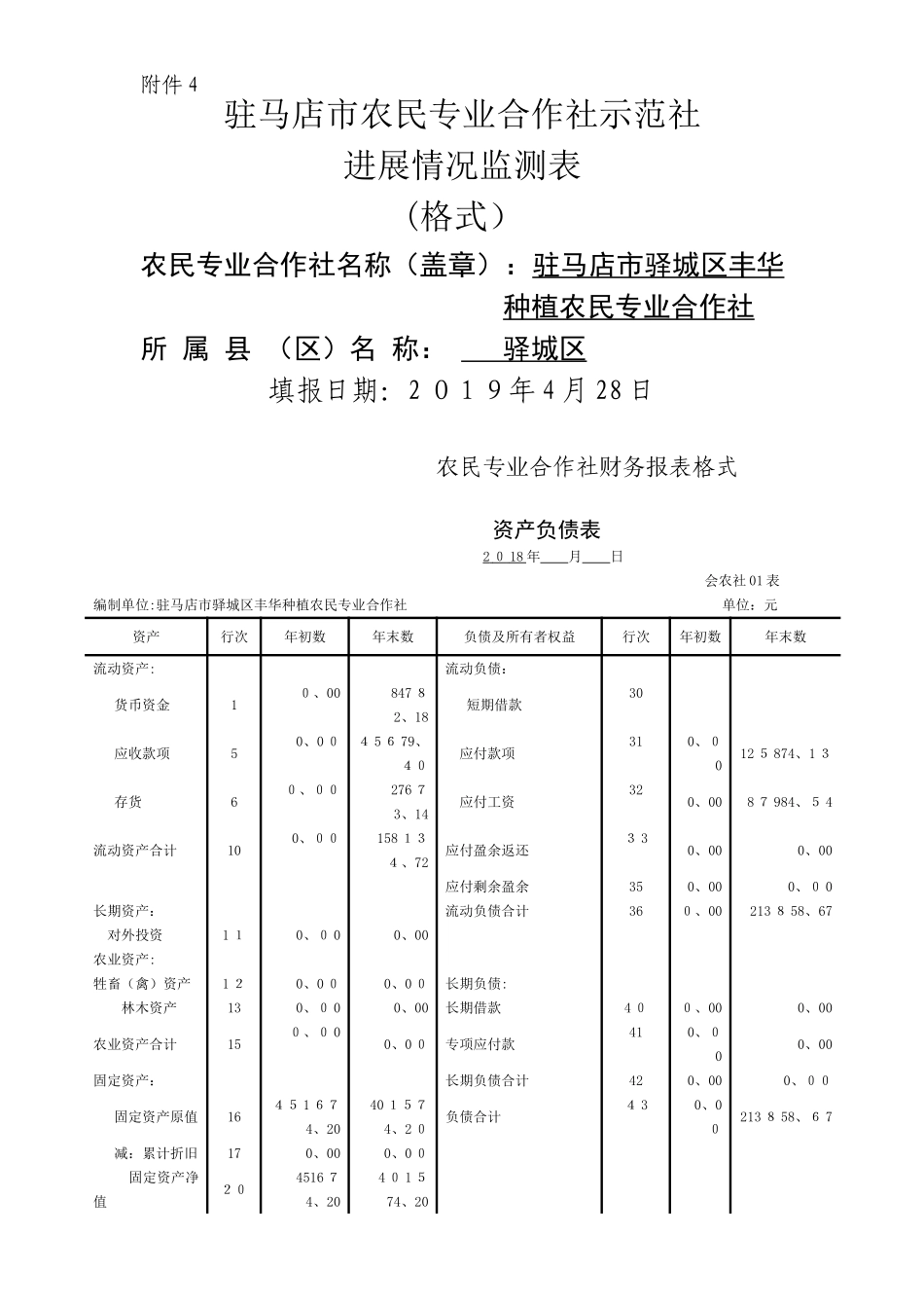 农民专业合作社财务报表格式_第1页