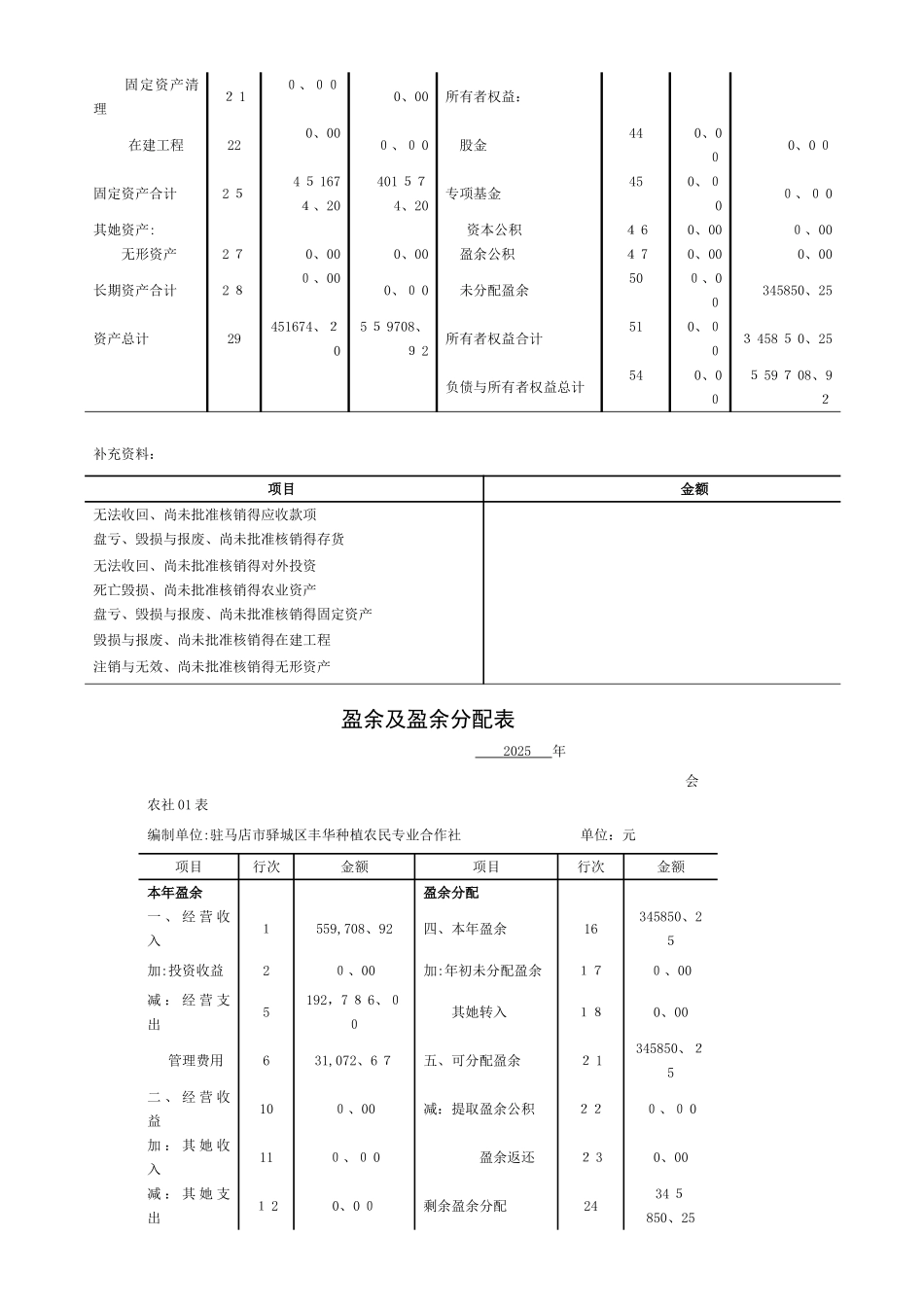 农民专业合作社财务报表格式_第2页