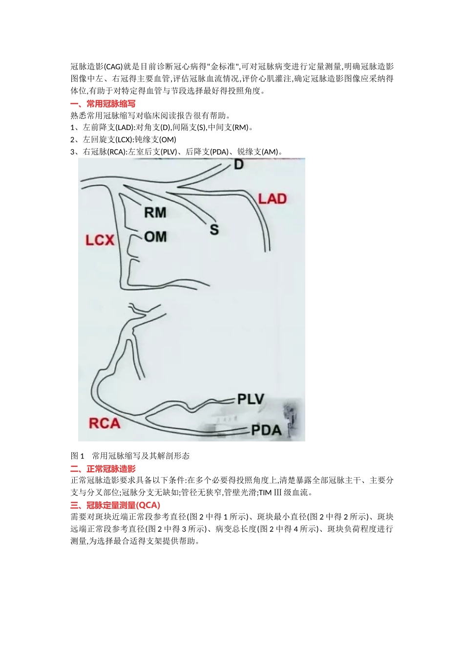 冠脉造影阅片总结_第1页