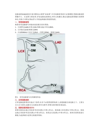 冠脉造影阅片总结