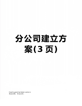 分公司建立方案