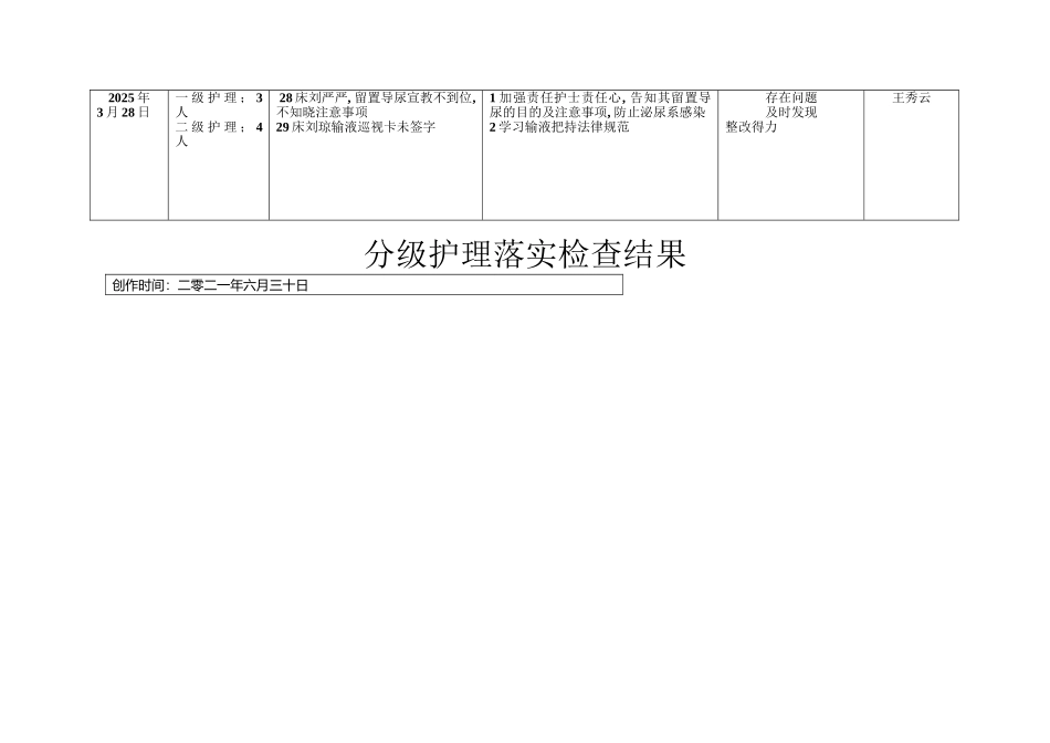 分级护理护理落实情况_第2页